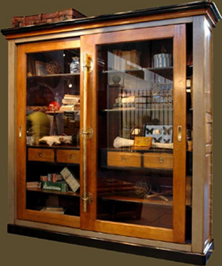 Felix Monge Naturalist Display Cabinet