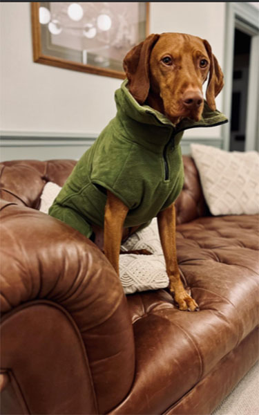 Tetrad Heritage Liberty Grand Sofa gets a new admirer